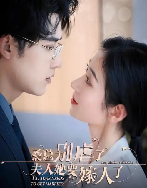 年代剧《长夜将明》全集手机免费在线观看